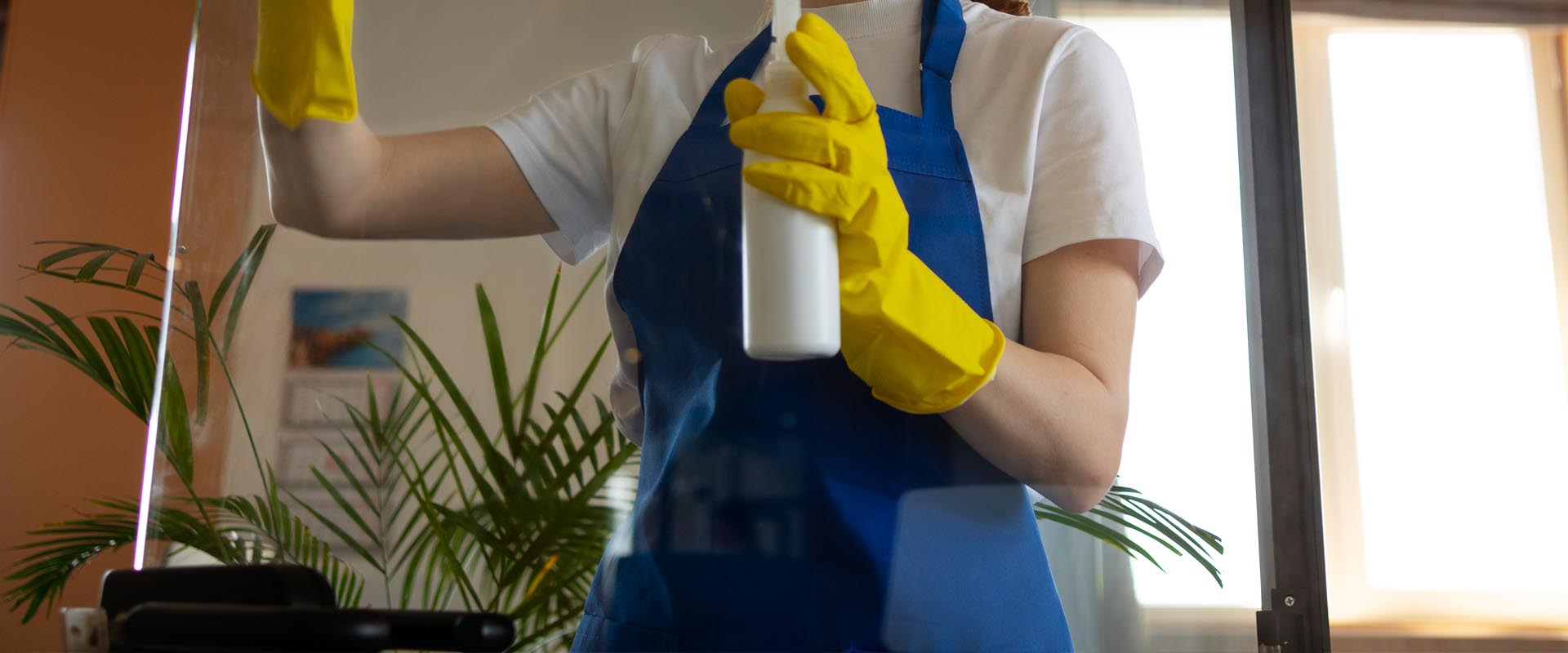 Best Ornamental Cleaning Service in Delhi by White Collar Forever White