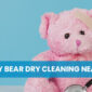 Teddy Bear Dry Cleaning Near Me